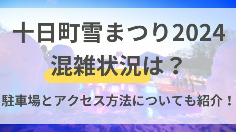十日町　雪まつり　2024　混雑状況　駐車場　アクセス