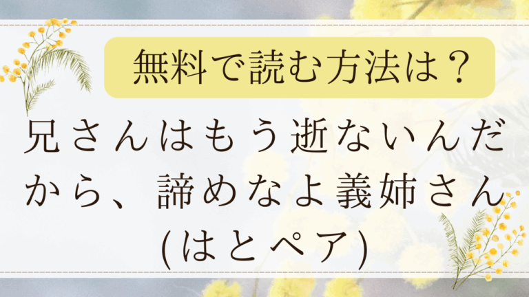 兄さんはもう逝ないんだから諦めなよ義姉さんhitomi